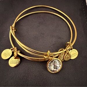 Alex & Ani Charm Bracelets (Two)